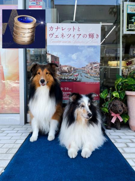 トワニー セルリズム 2026｜紹介記事｜キレイエ