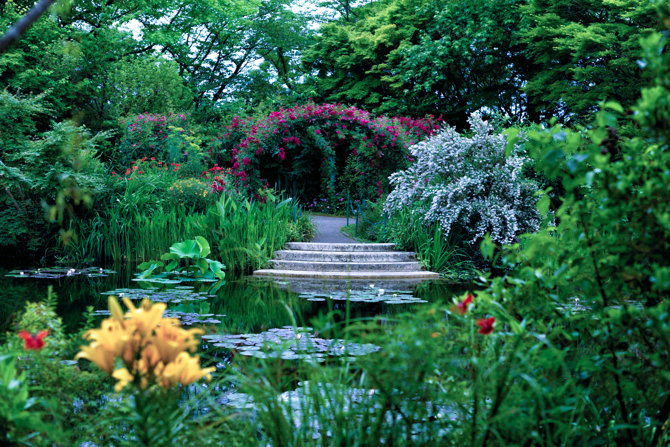 水の庭 – 北川村「モネの庭」マルモッタン