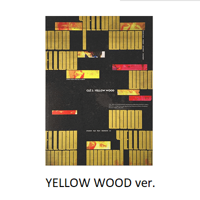 STRAY KIDS CLE 2 YELLOW WOOD REGULAR VERSION - Kpop USA