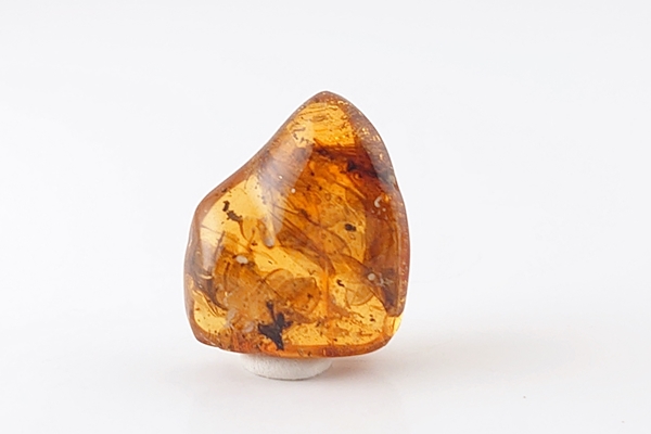 虫入り琥珀原石 - 久慈琥珀オンラインショップ