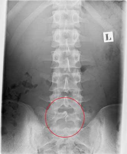 今月の一枚 久喜メディカルクリニック | 埼玉県久喜市