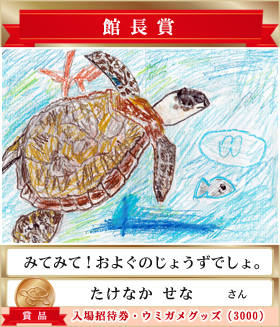 ウミガメおえかきコンテスト2024 | ウミガメおえかきコンテスト2024