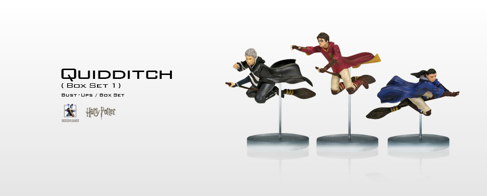 ハリー・ポッター』【バスト・アップス】 クィディッチ／ボックス