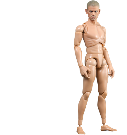 ホットトイズ・トゥルータイプ】1／6スケールフィギュア素体 ニュー