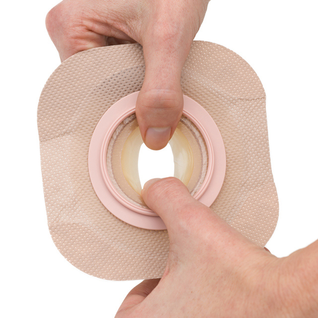 ホリスター様用セット ニューイメージ ロックンロール | Hollisterサンプル請求サイト