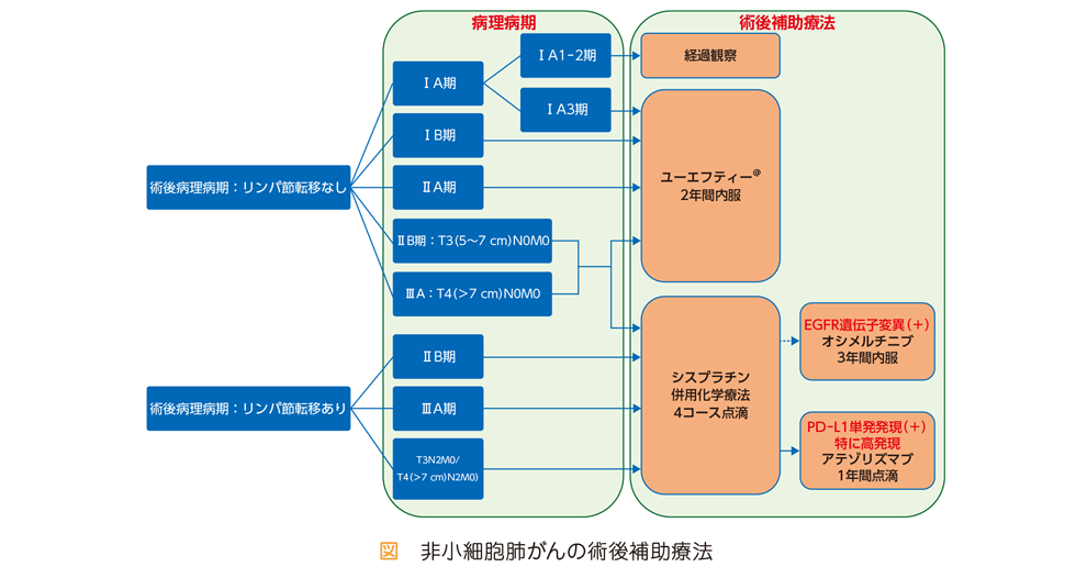 Q59手術後に追加治療が必要となるのはどのような場合ですか