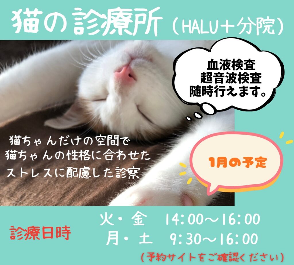 🐶健康診断🐱】1月から猫ちゃんの健診始まります！🐱🩺 - 渋谷区