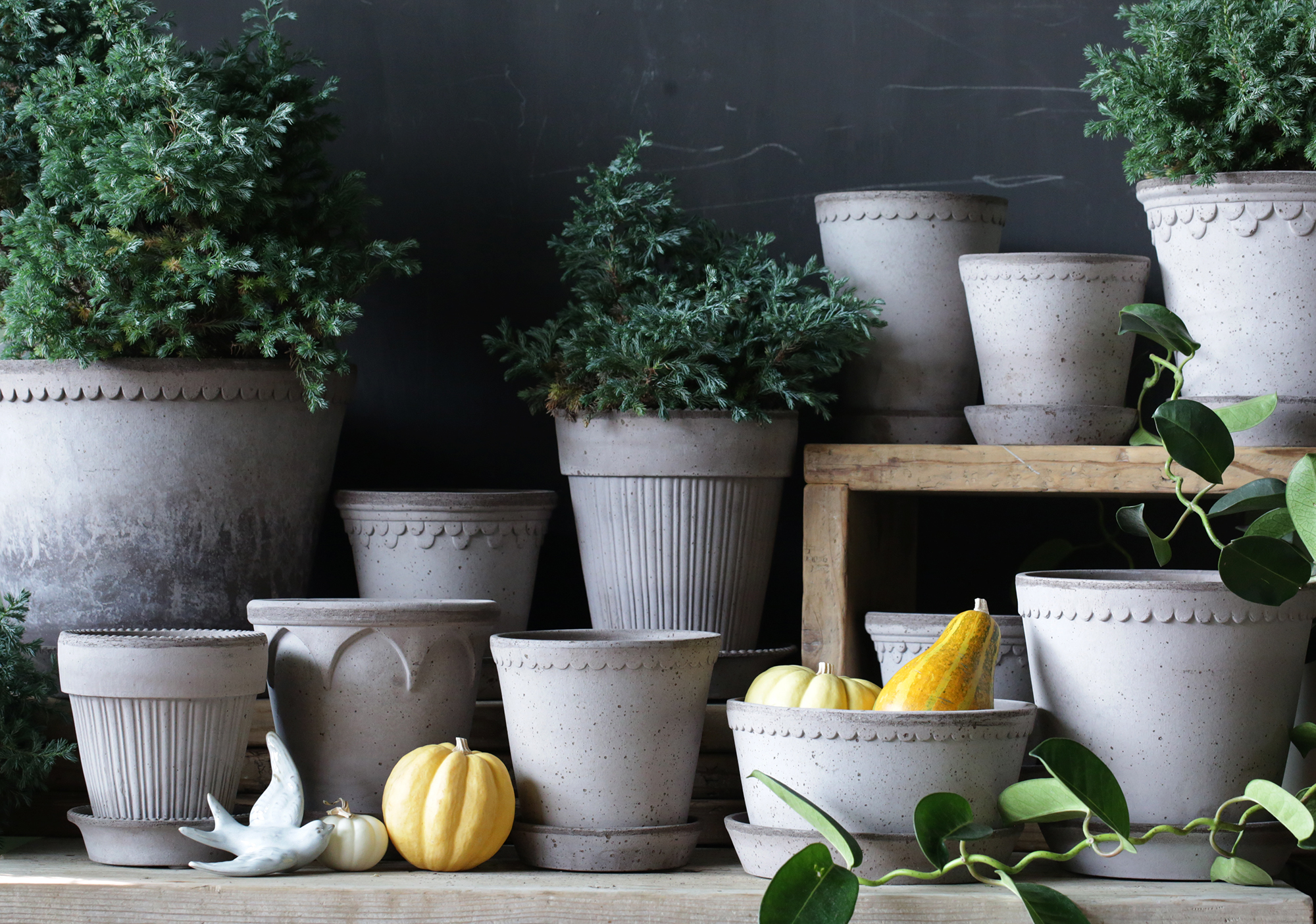 SIMONA GREY［Φ14cm］ | アトリエ華もみじ