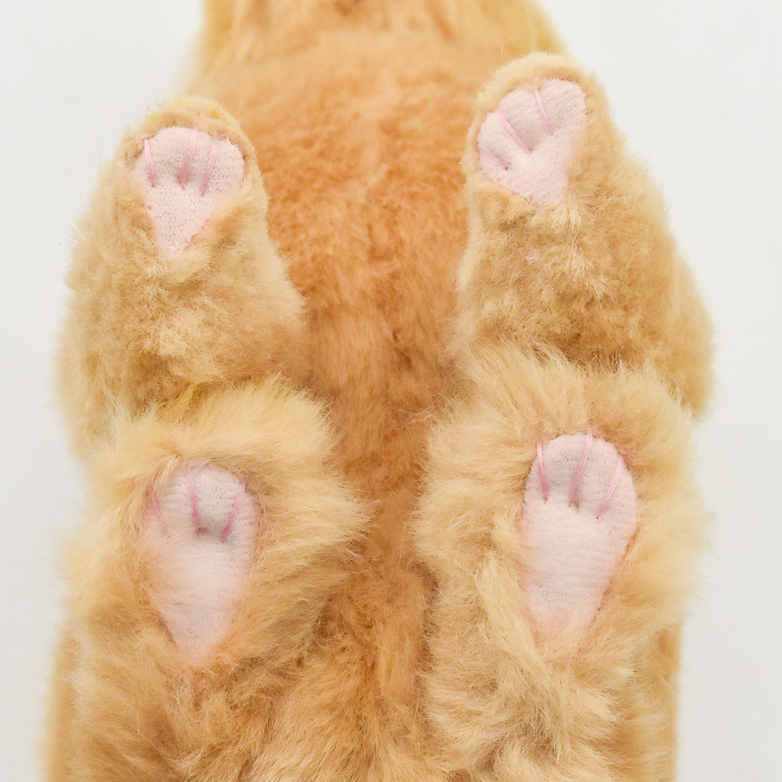 ネザーランド・ドワーフ 21 | HANSA