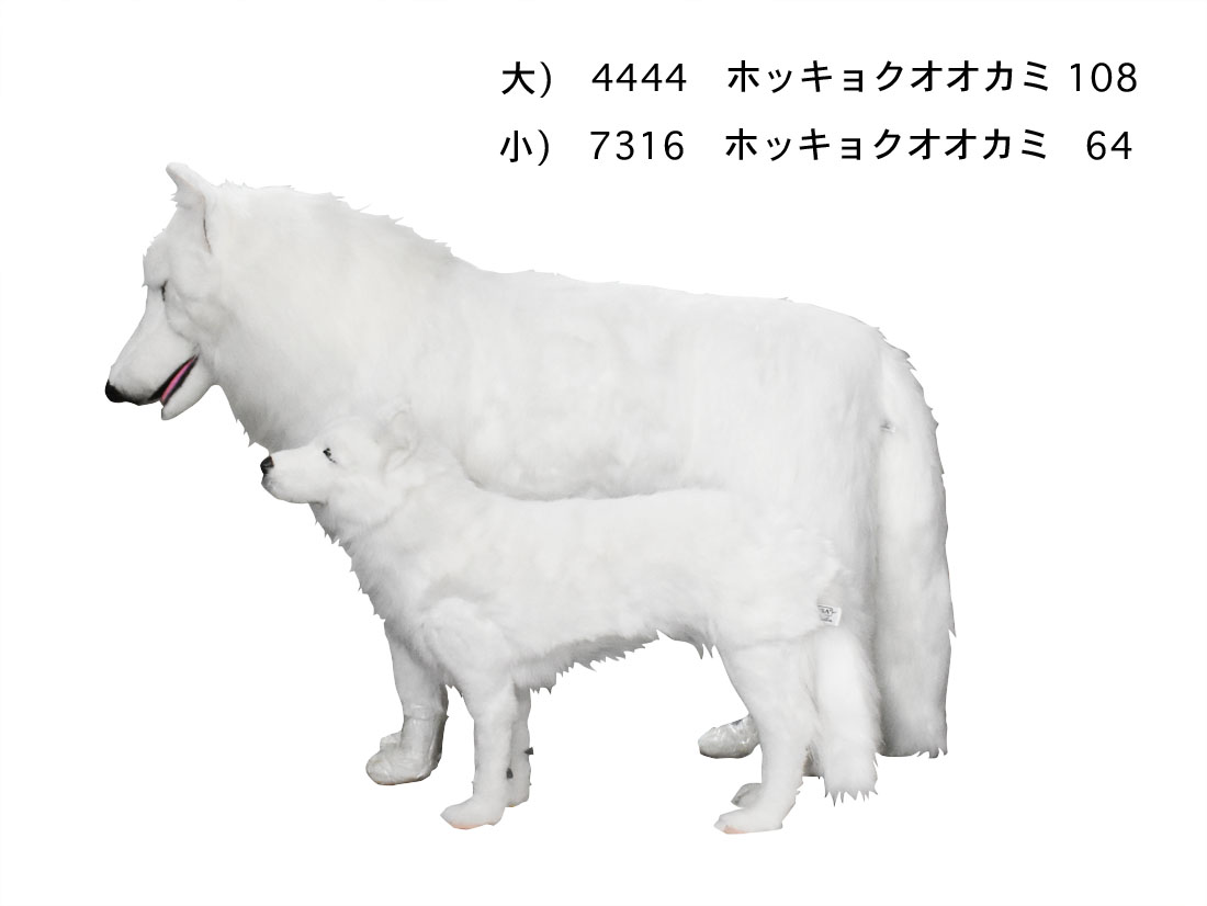 ホッキョクオオカミ 64 | HANSA