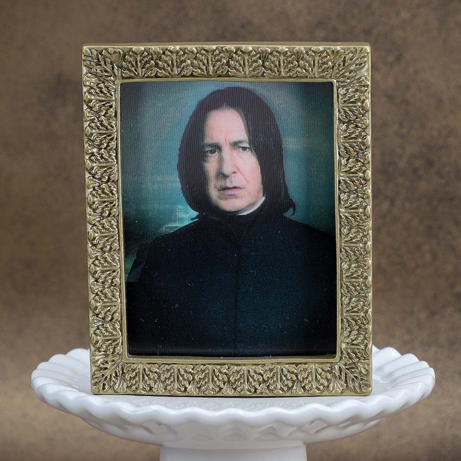 ハリー・ポッター 肖像画コレクションマグネットコレクション 全8種