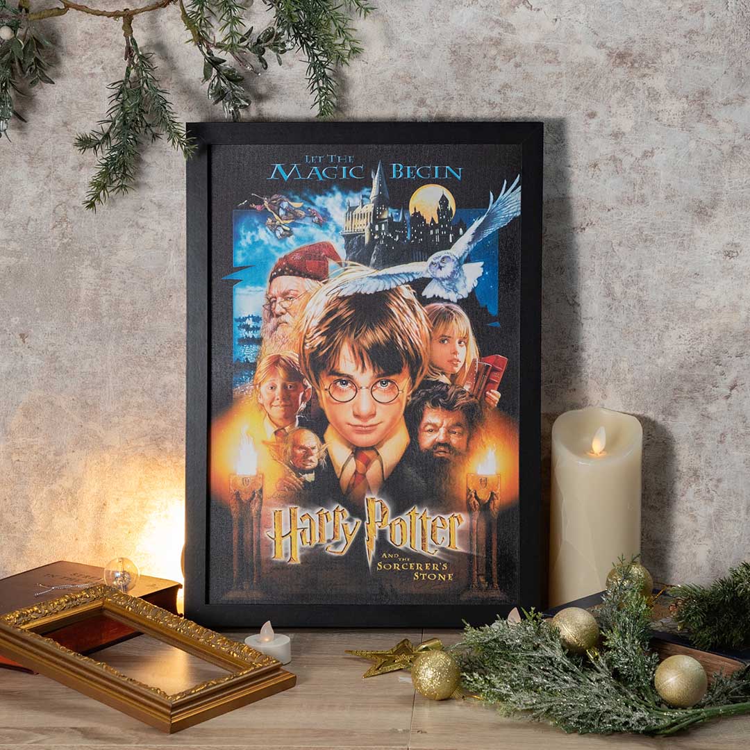ハリー・ポッターと賢者の石 ライティングアートボード | ハリー