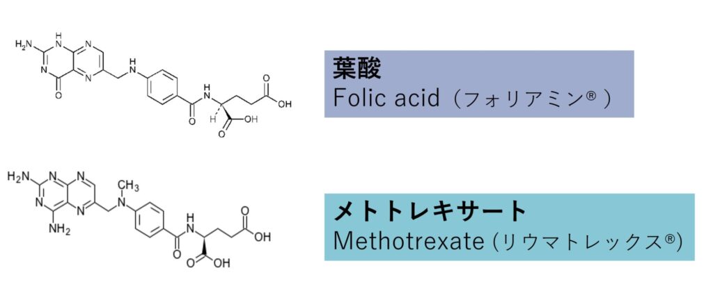 メトトレキサートについて | 埼玉県所沢市の内科、リウマチ・膠原病科