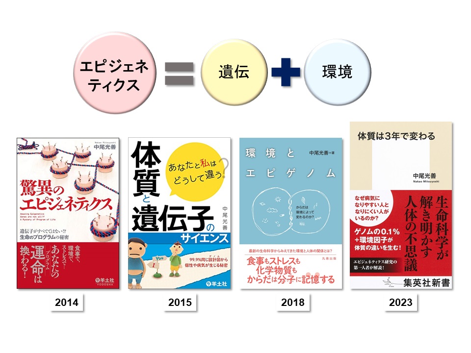 細胞医学分野 - 熊本大学発生医学研究所