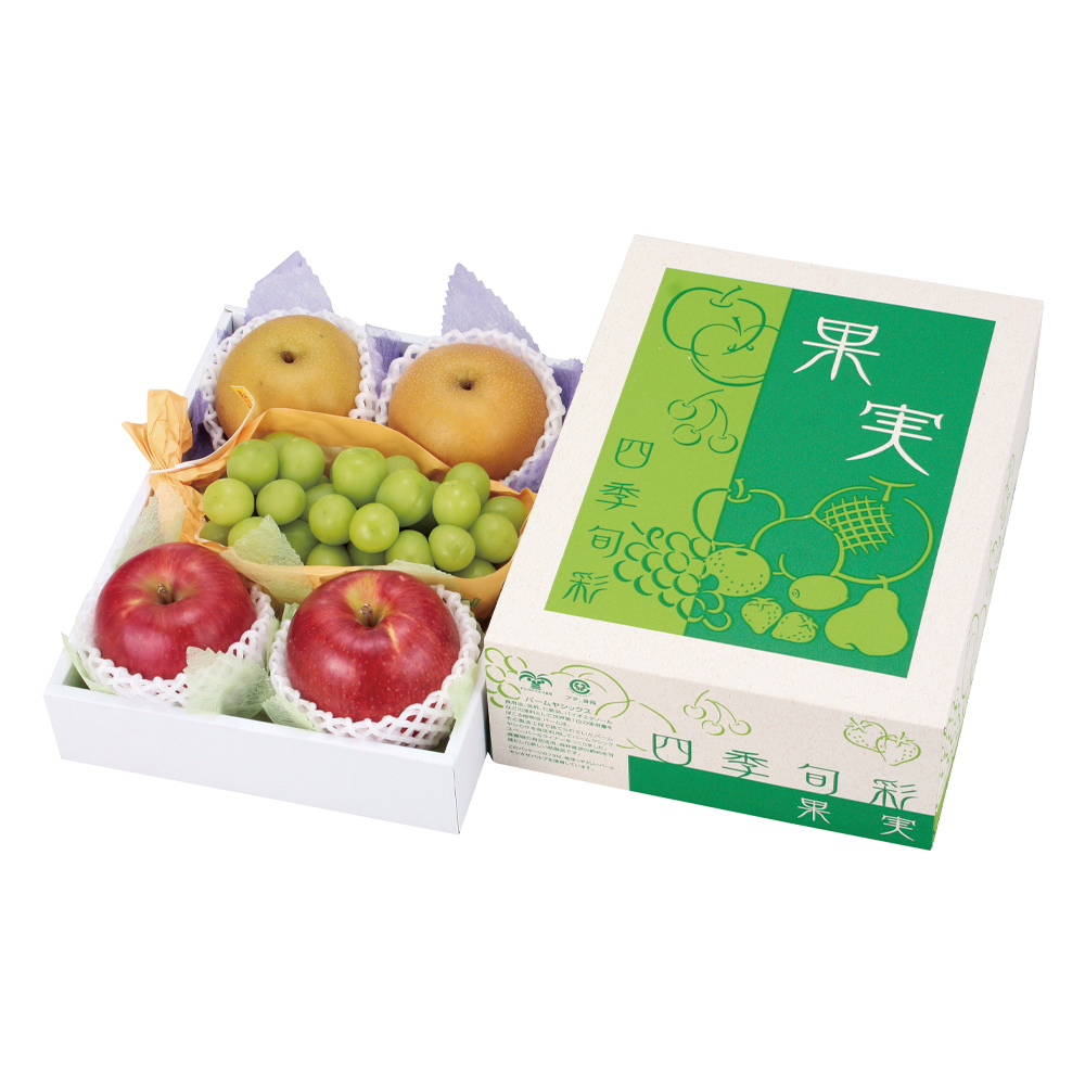 ギフト箱（フルーツ用）果実 四季旬彩 205×278×105（60）mmほか「50枚