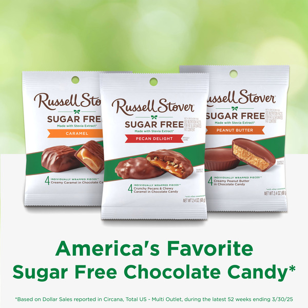 Russell Stover Sugar Free Pecan Delight Chocolate Candy, 2.4 oz