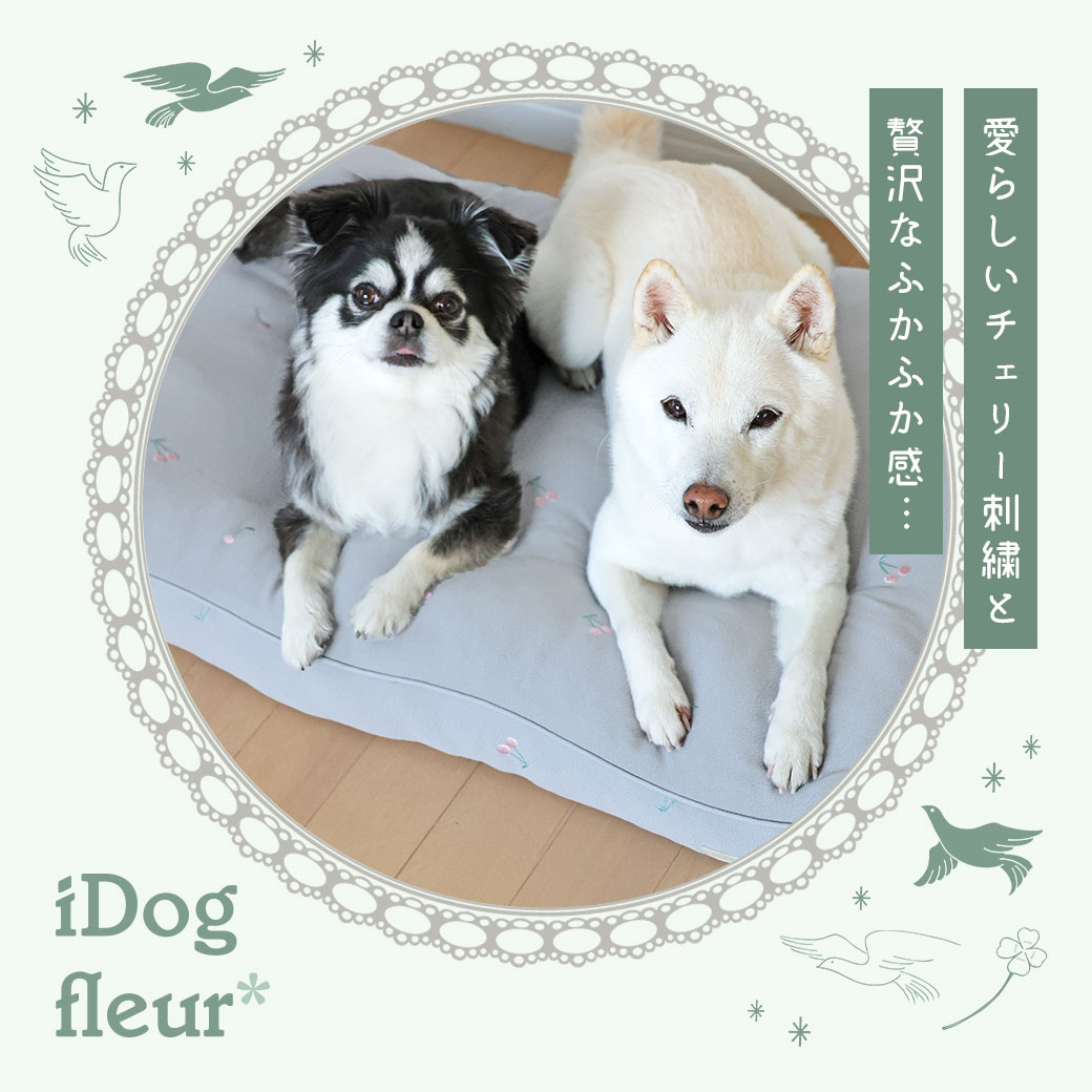 IDOG&ICAT iDog fleur チェリーのクッションベッド アイドッグ-犬猫