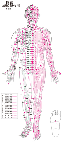 新版 経絡経穴概論 第2版2刷→第2版3刷の変更・修正点 | 医道の日本社