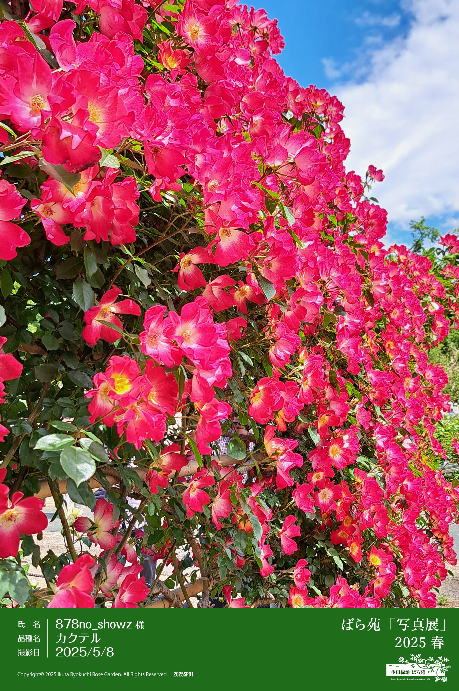 ばら苑「写真展」