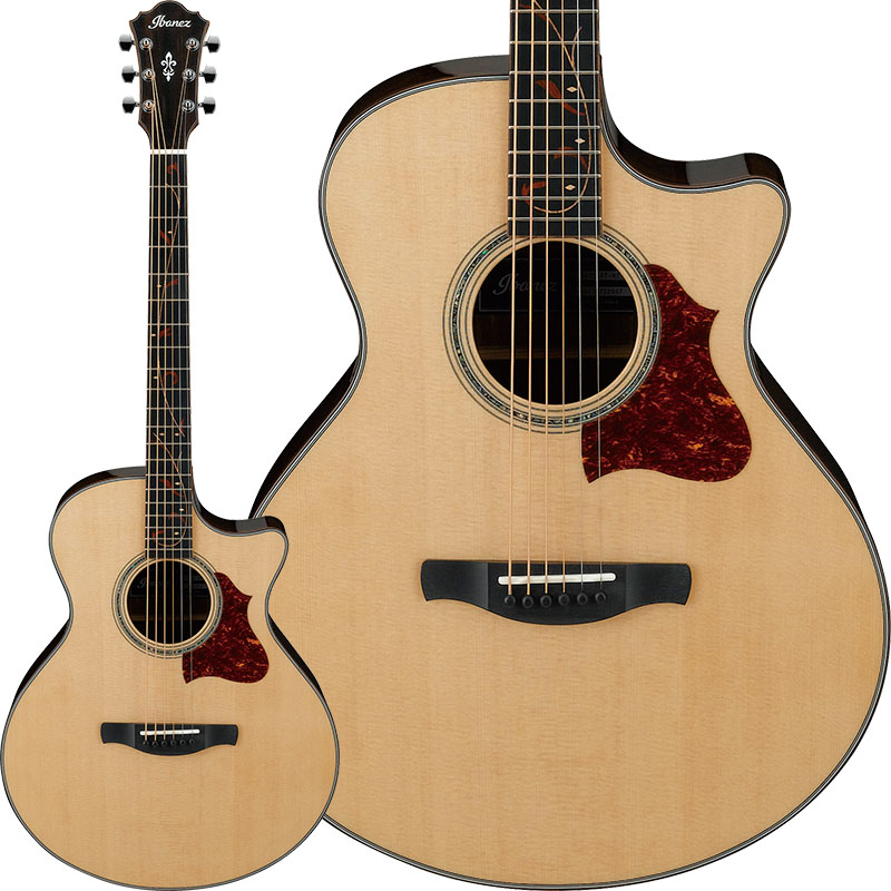 Ibanez】新たに7種のアコースティックギターが登場！ | イケベ新製品情報