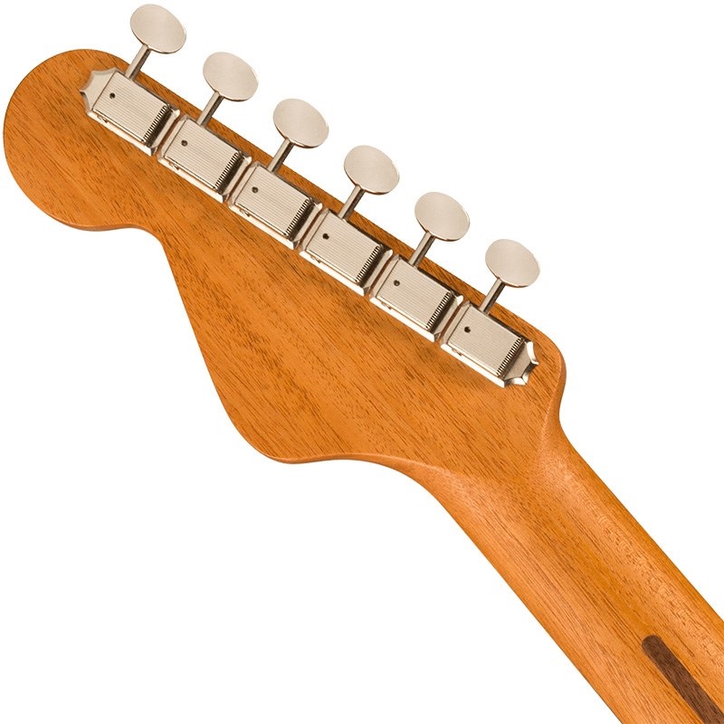 Fender Acoustics Fender HIGHWAY SERIES DREAD All-Mahogany