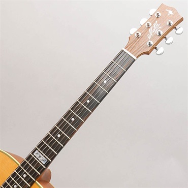 MATON EBG808TE - Tommy Emmanuel - #29878 メイトン ｜イケベ楽器店