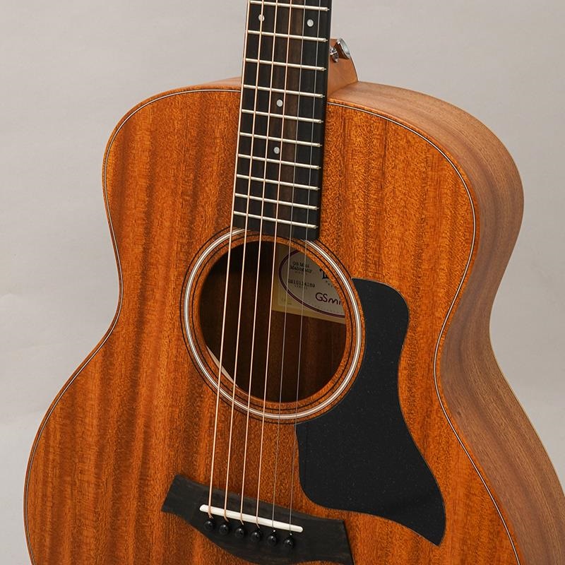 TAYLOR GS Mini Mahogany テイラー ｜イケベ楽器店オンラインストア