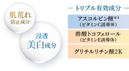 美肌パーフェクトセット（4品） | 薬用化粧品 フジナ エクセレント