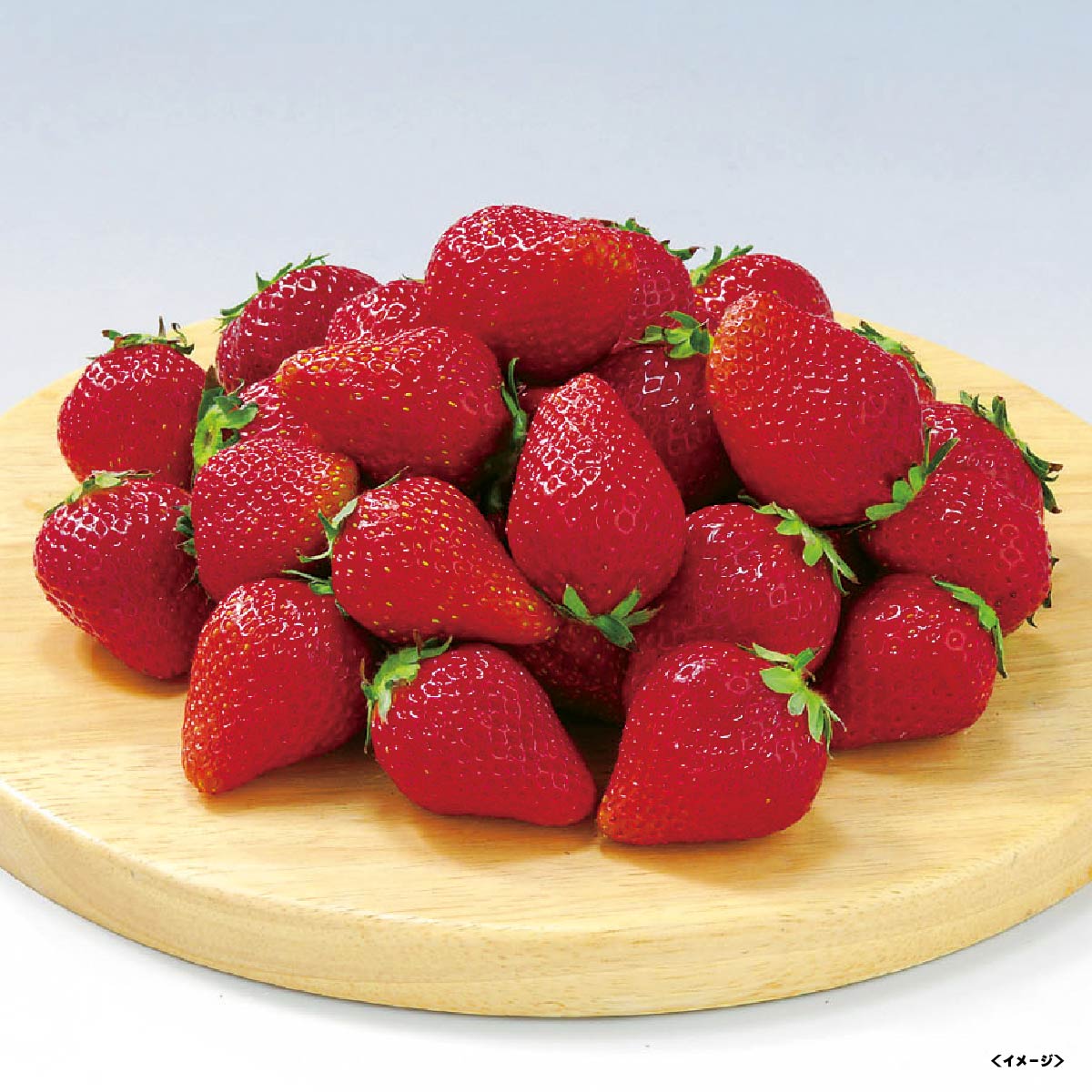 イワタニの公式オンラインショップ｜【出荷期間:2026年2月5日-2026年3