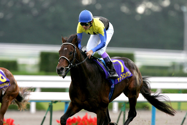 GI7勝、種付け料4000万、子どもたちは年間70億超を稼ぐ 「数字