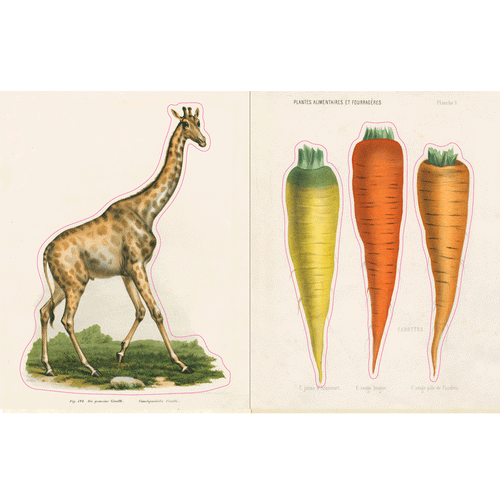 29781648291012.in03_500x.gif?v