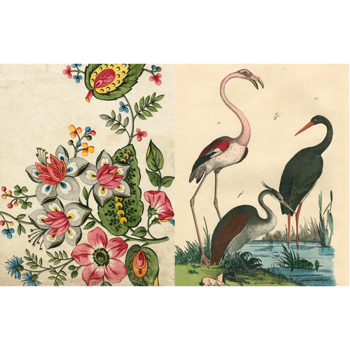 9781648294167_in08_500x.png?v=