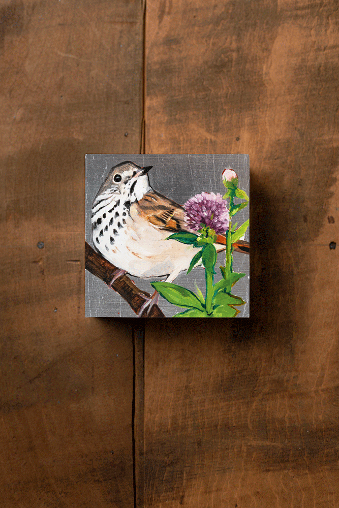 Vermont – Joseph Bradley