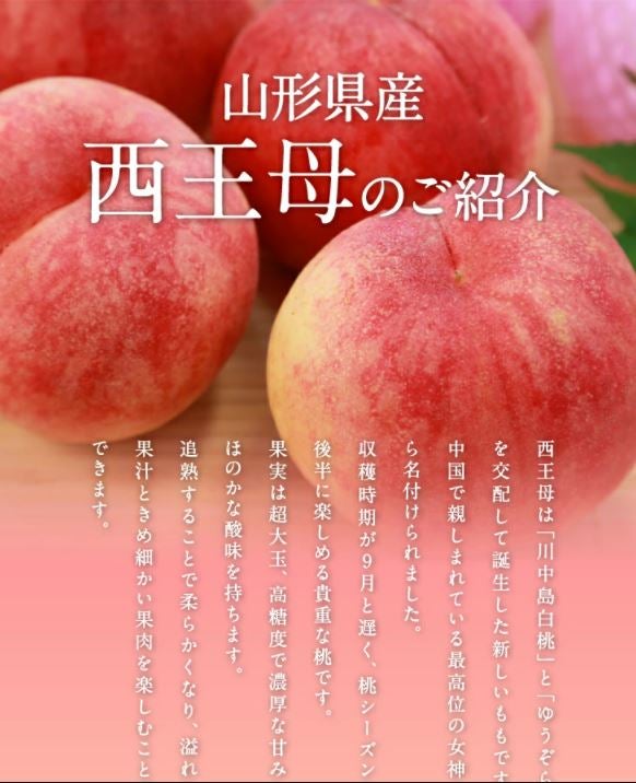 希少品種☆山形県産白桃西王母約3kg かたい桃: JAてんどうフーズ