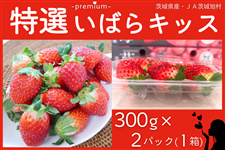 ◎茨城県産 特選いばらキッス（約300g×2パック） 3L JA茨城旭村