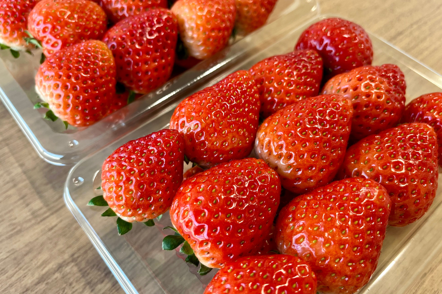 苺 とちあいか （260g×4パック） 栃木県 JAうつのみや産: とちぎ新鮮