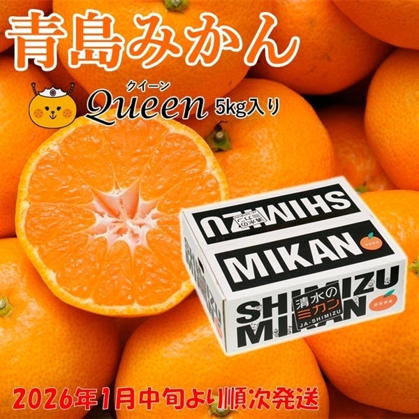 ご予約商品・2026年1月中旬よりご発送】青島みかんQueen(クイーン) 5