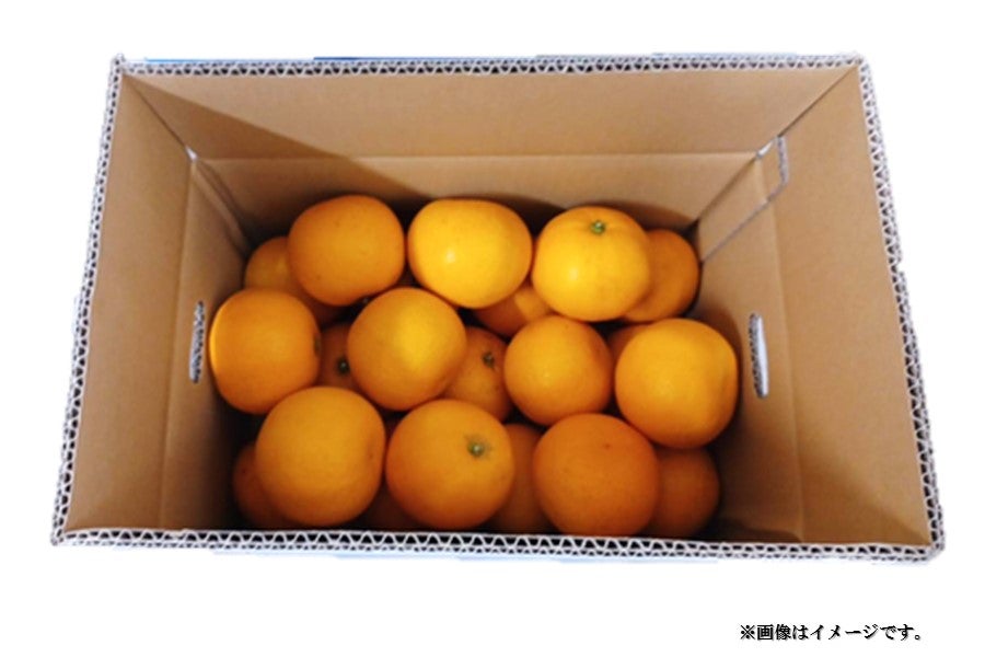 若宮さんちの淡路島なるとオレンジ（約10㎏）: あつめて、兵庫