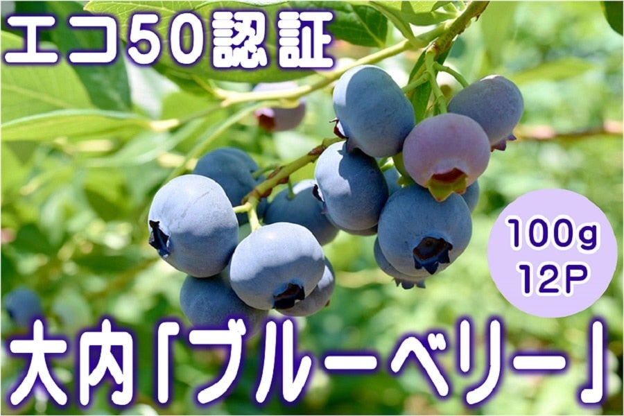 大内 「ブルーベリー」 100g×12P: 正直やまぐち|【JAタウン】産地