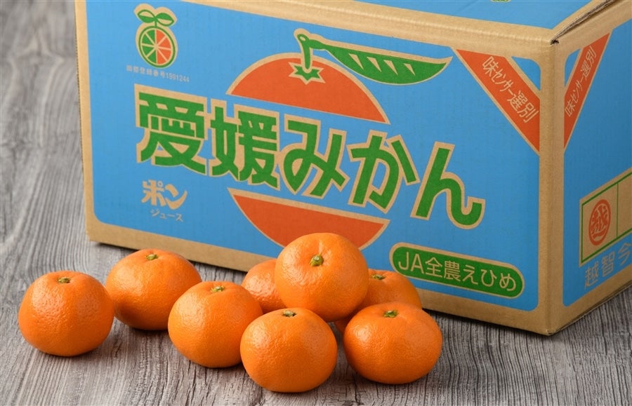 SU－10】温州みかん約10kg（秀S～L）JAおちいまばり