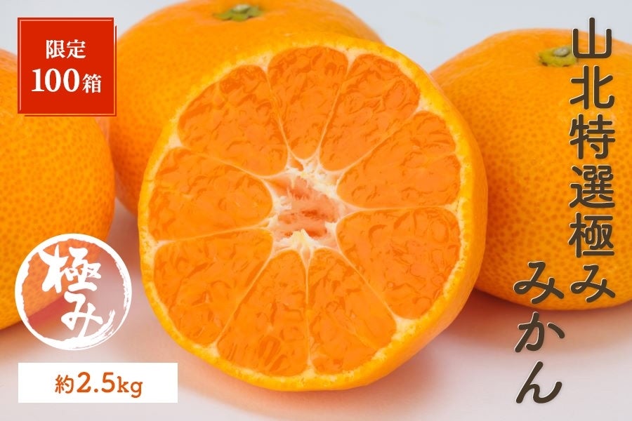 限定30箱】山北特選極みみかん 約5kg 12/2～12/24の間に発送: とさの