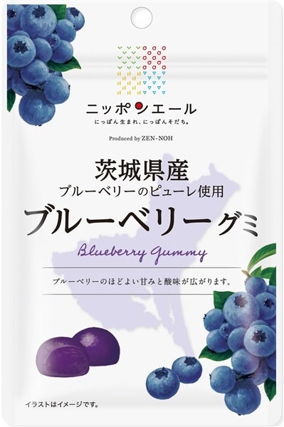 1袋から選べる！】茨城県産ブルーベリーグミ（宅配便）: ニッポン