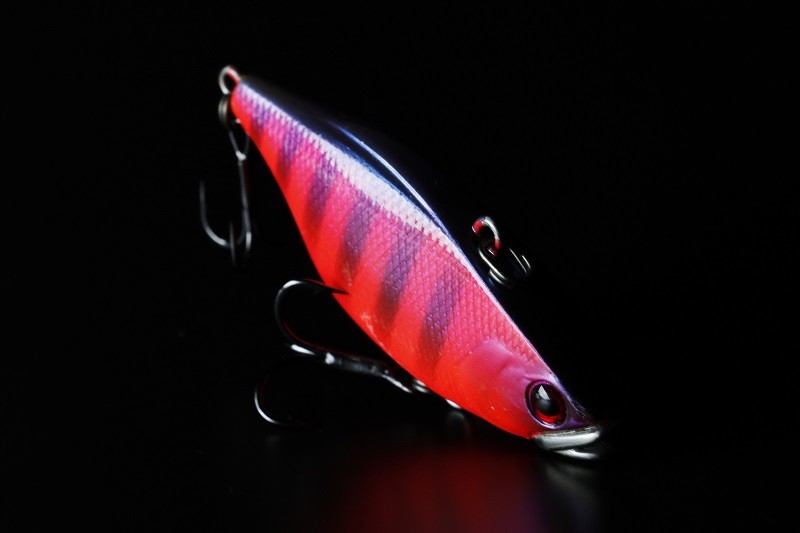 TNskull shell maruhata - FRESH WATER バス釣り ｜JACKALL