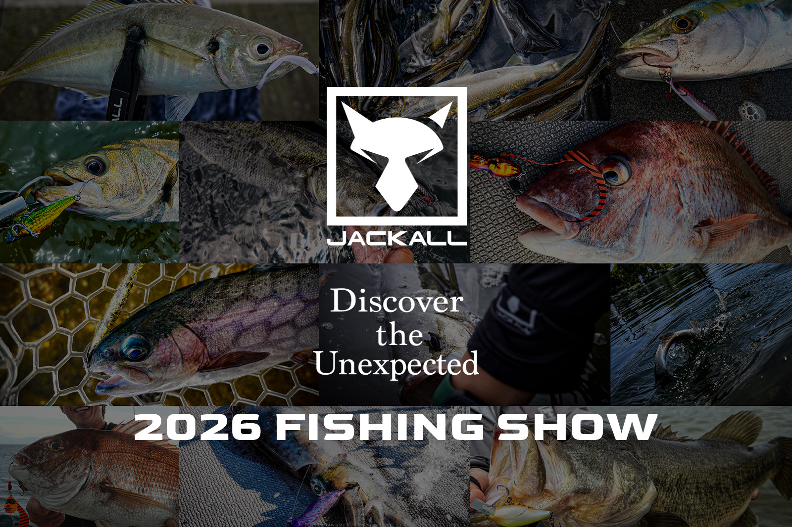 JACKALLフィッシングショー2026特設サイトがオープンしました。 - SALT