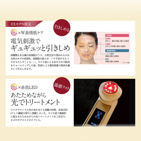 Ya-man RF Beaute Photo Plus Ex | Japan Trend Shop