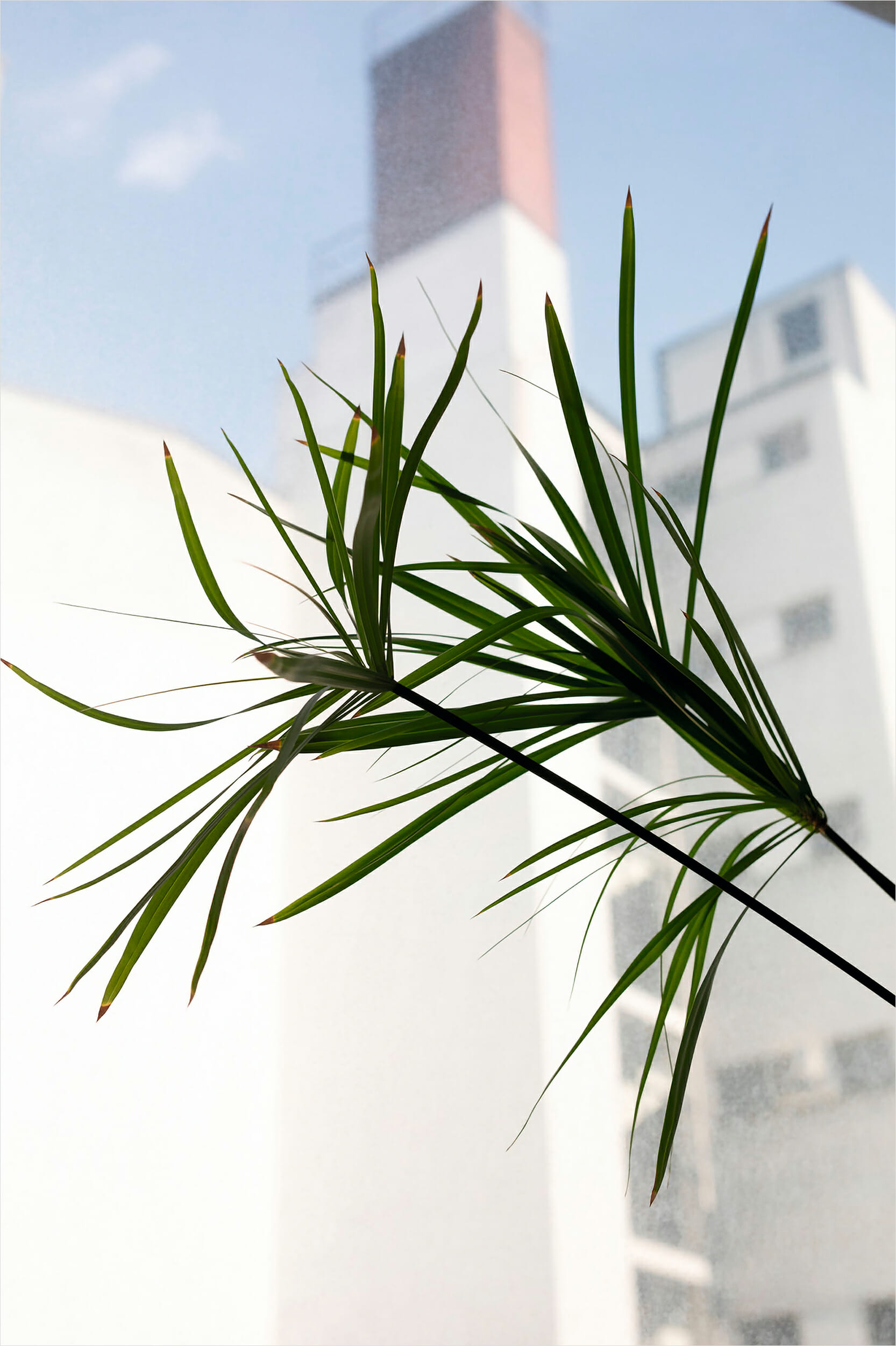 ヴォルフガング・ティルマンス「Moments of Life」展 - デザイン