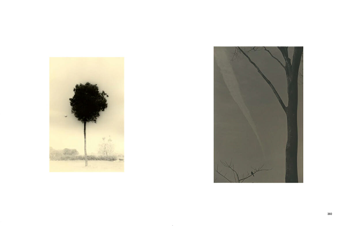 Savoir & Faire 木 - おすすめ書籍・本 - デザイン情報サイト[JDN]