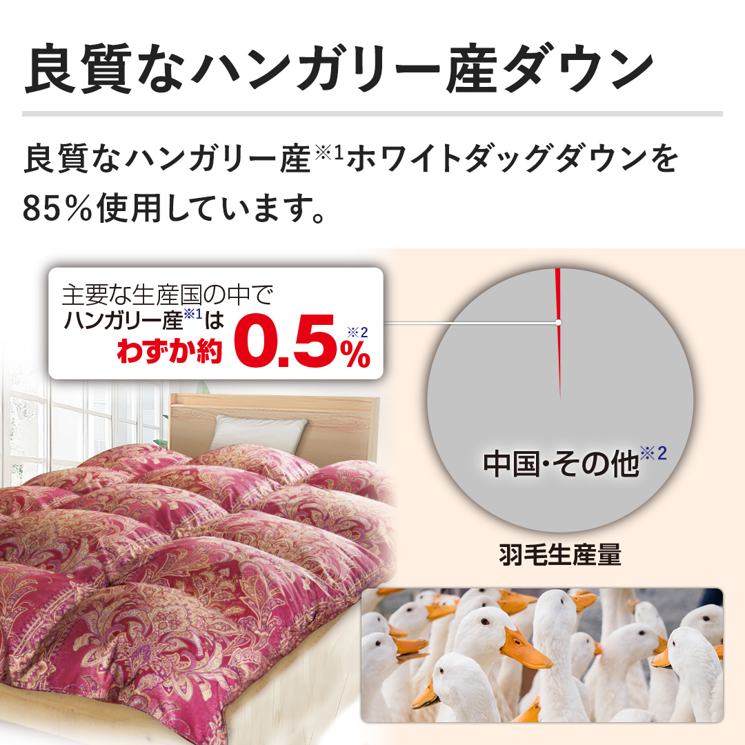 モリリン 布団・快眠グッズ エクセルラベル羽毛布団 シングル ワイン