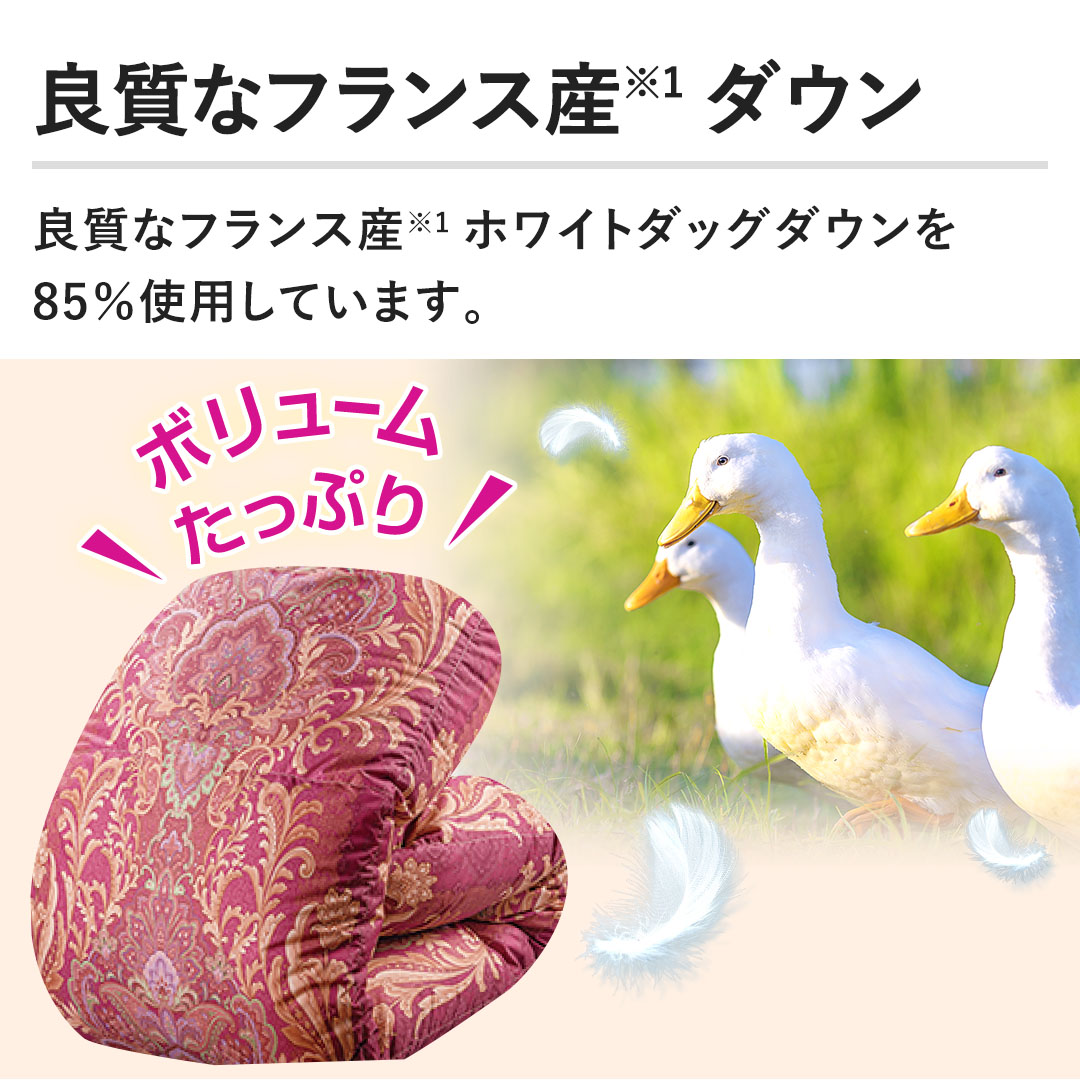 モリリン 布団・快眠グッズ フランス産ダウン85％羽毛布団 ダブル