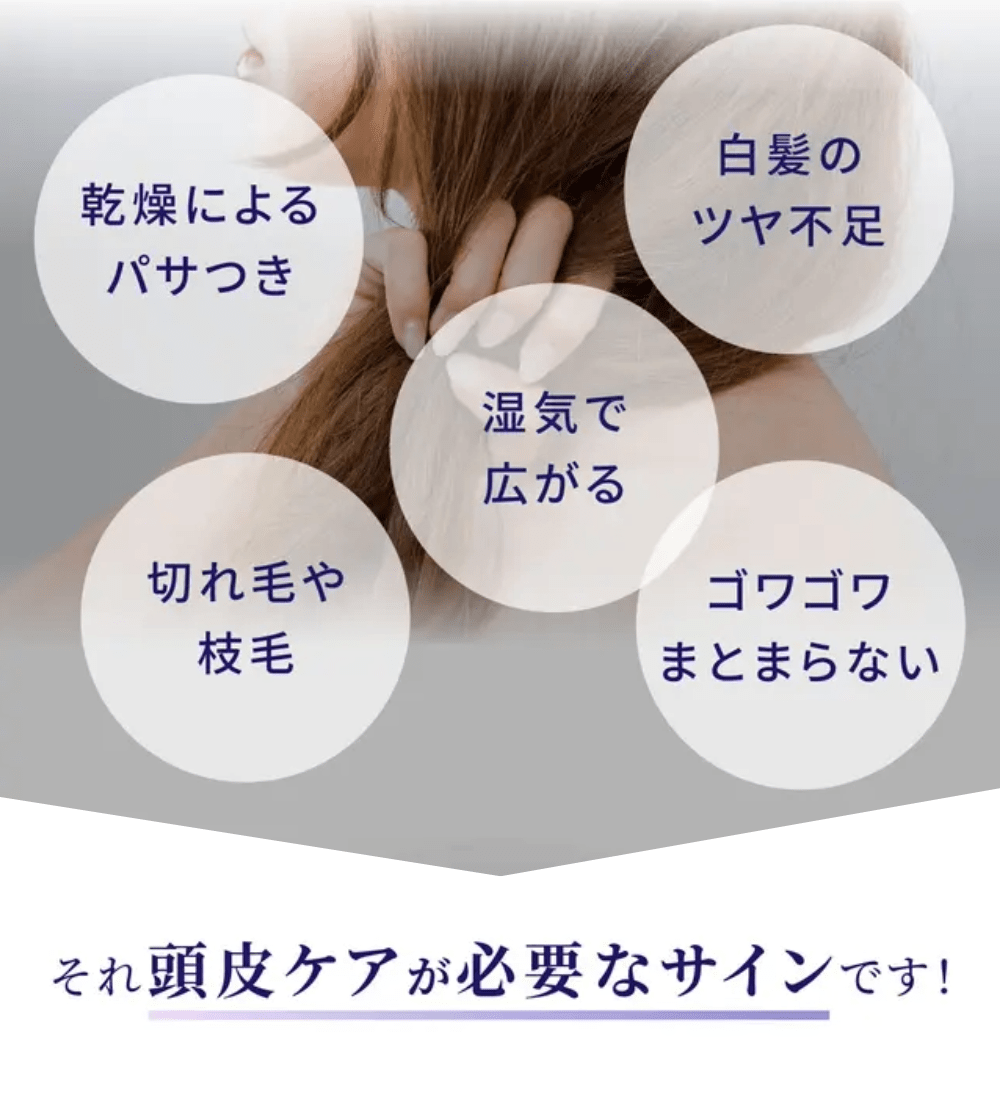 定期購入】マッサージクリームシャンプー｜JCCショップ本店